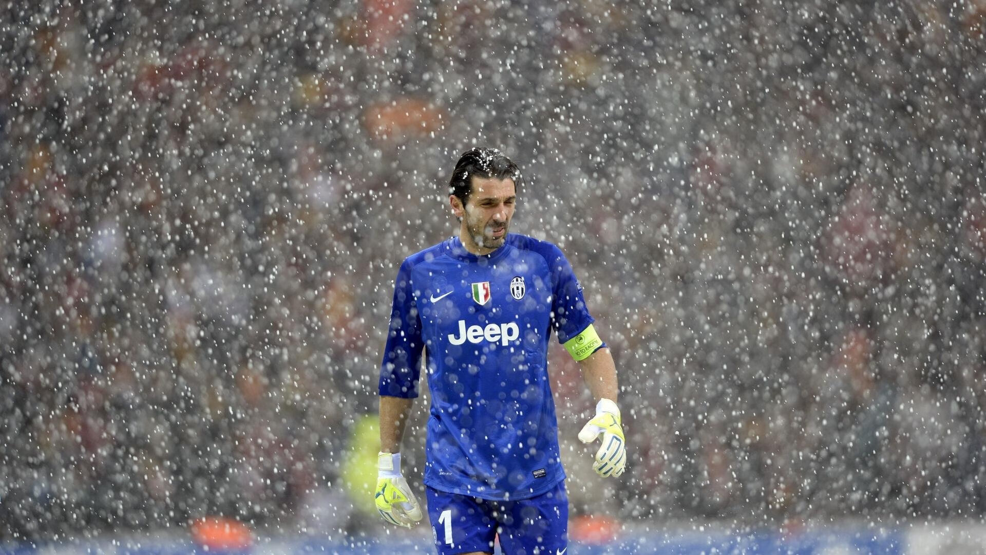 _森林冒险跑：运动与自然的完美融合_，森林 跑步